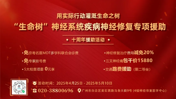 46.8%返贫防线上的攻坚：广州和谐医院神经修复医学中心"生命树"十周年如何托起脊髓损伤家庭希望
